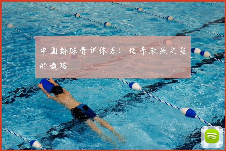 中国排球青训体系:培养未来之星的道路