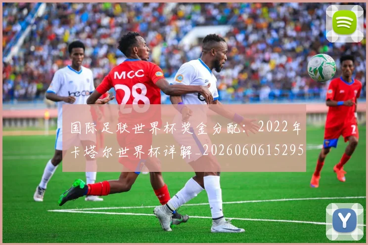 国际足联世界杯奖金分配：2022年卡塔尔世界杯详解_20260606152955